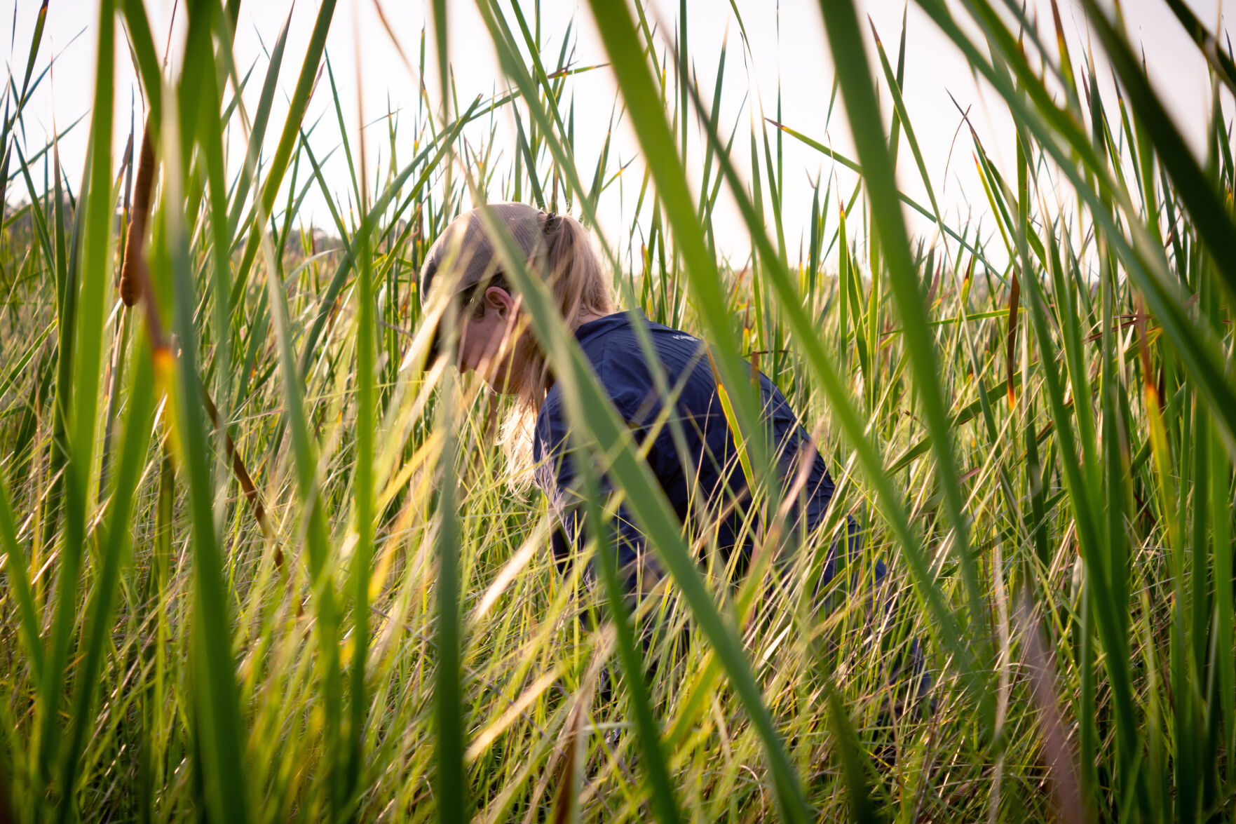 South Carolina biologist Christy Hand walks through a South Carolina marsh